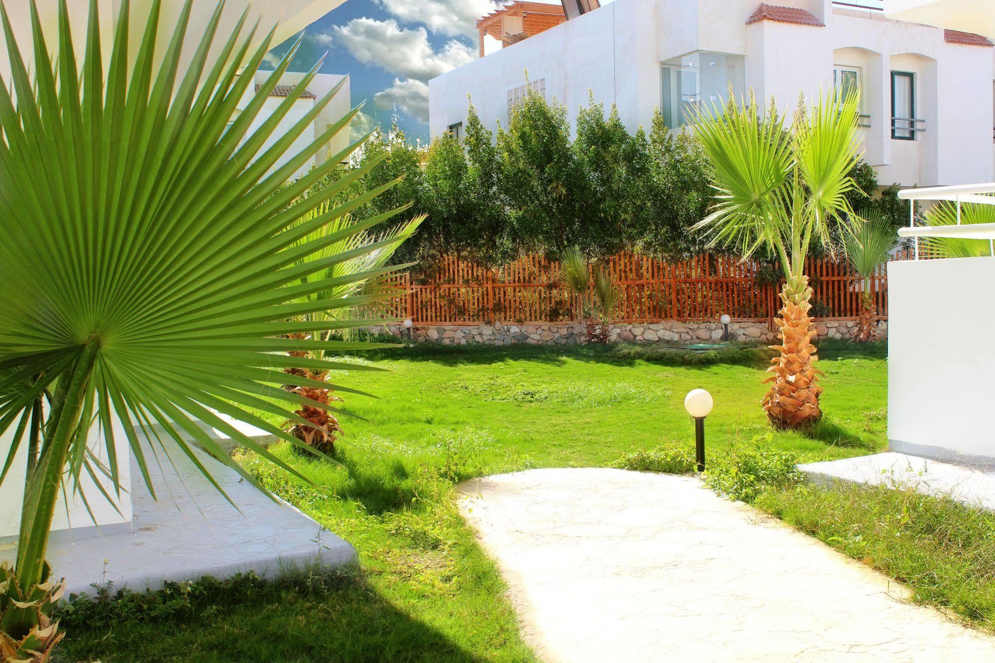 Viking Club Hotel Sharm El Sheikh Ngoại thất bức ảnh